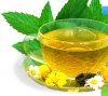 Какие недуги лечит черный чай? Какие недуги лечит черный чай?