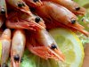 Как приготовить креветки? Как приготовить креветки?