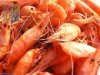 Как выбирать и хранить креветки? Как выбирать и хранить креветки?