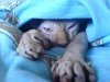 Как выбрать одеяло? Как выбрать одеяло?