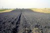 Какая почва самая плодородная? Какая почва самая плодородная?