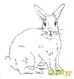 Как нарисовать зайца поэтапно Как нарисовать зайца поэтапно