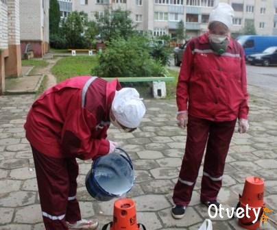 Как бороться с блохами в квартире? Как бороться с блохами в квартире?