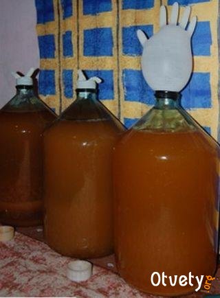 Как сделать бражку из варенья Как сделать бражку из варенья