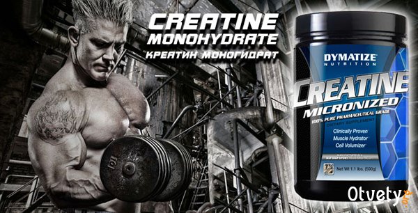 Как принимать creatine monohydrate? Как принимать creatine monohydrate?